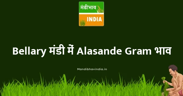 Alasande Gram भाव